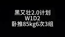 黑又壮2.0计划W1D2#力量举 #卧推
