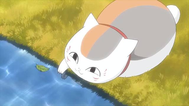 虽然嘴上傲娇，但猫咪每次都还是来救他了