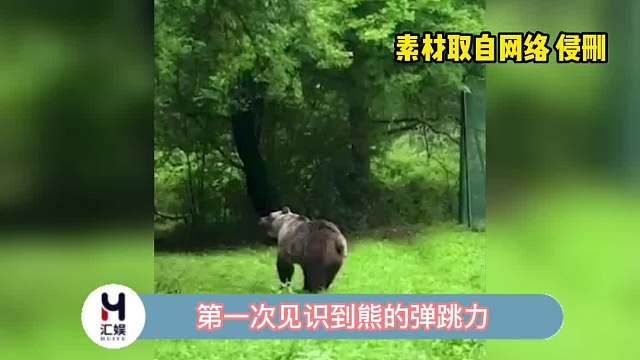 看得出来熊熊已经很努力的在跳了！