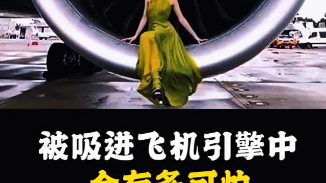 被吸进飞机引擎中，会有多可怕