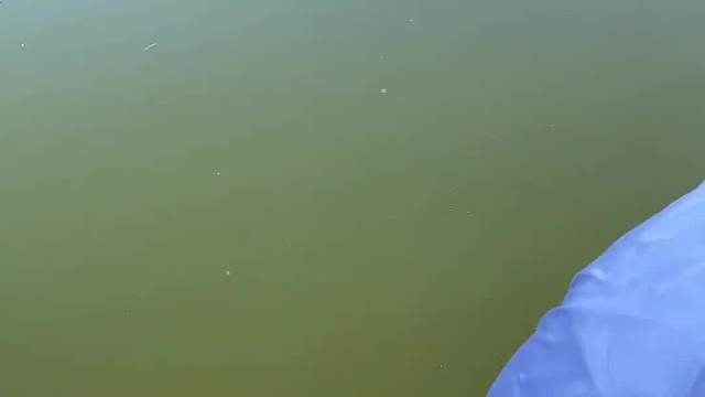 这鱿鱼不是软体动物吗？怎么还有一块大骨头的？