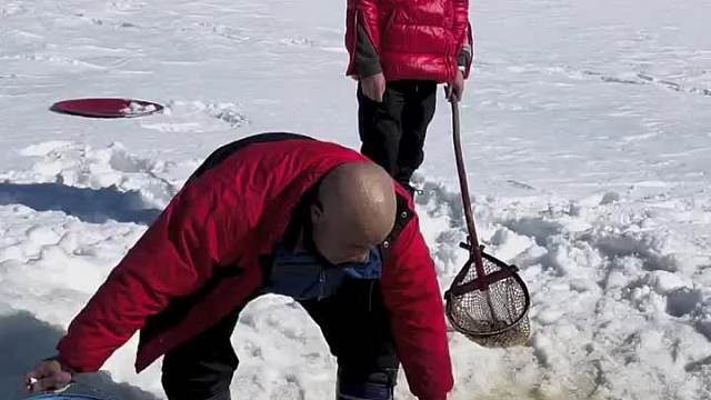 这样抓鱼怎么样