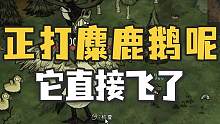 《饥荒》春季麋鹿鹅打着打着直接飞走了 #饥荒联机版