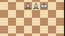 #国际象棋 从入门到精通精彩片段双象杀王！