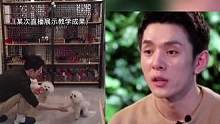 #李佳琦 谈理性消费观，还透露让never去学习当治愈犬❤️