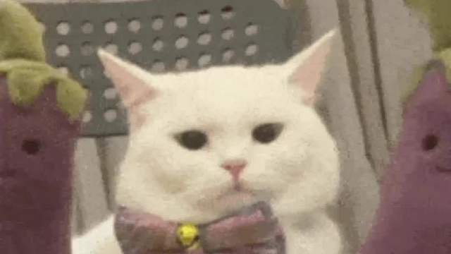 打工人直接戳中，又被演了