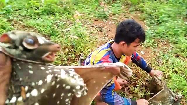 地里传出“凄厉惨叫”，似恶鬼在哭嚎，男子揪起一看：这是个啥？