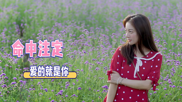 忙的时候互不打扰，不忙的时候能想想我吗