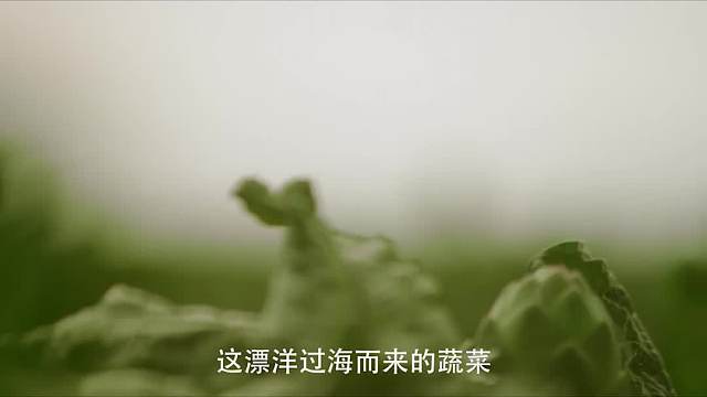 蔬菜之皇