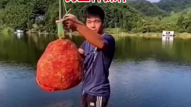 钓鱼神操作，砸也得砸死两个