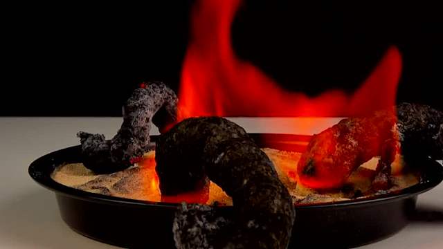 神奇的法老之蛇