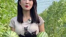 美女卖西瓜三个月净赚100万#商业模式36计 #西瓜 #营销