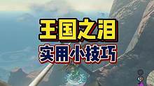 分享五个很实用的小技巧～#塞尔达传说王国之泪 #王国之泪 #塞尔达传说 #游戏攻略
