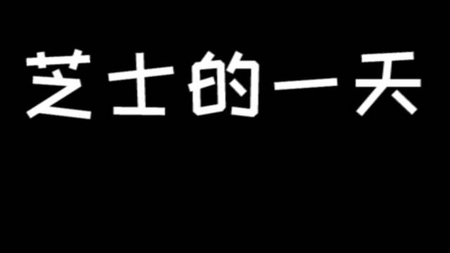 这就是我的日常