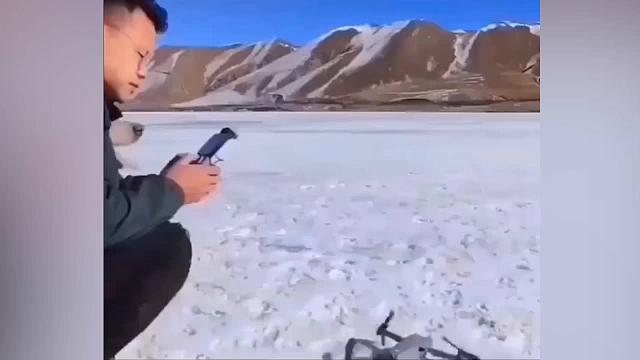 萌宠搞笑诱惑测试