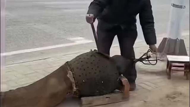 话不多说！帮我找找锅！#搞笑视频配音#搞笑配音#搞笑