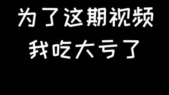 为了这期视频 我可是吃了大亏了！