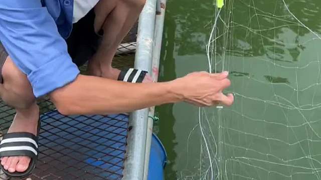 这清道夫狗都不吃……你们说放水里还能不能活？