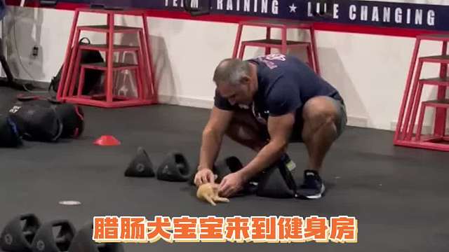 看到最后真的有被它狠狠可爱到哈哈哈哈