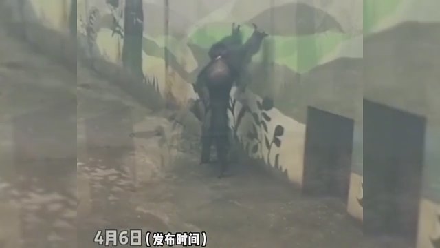 刚开始：好厉害！最后：还能这样