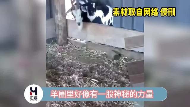 到底是什么力量把它们绊倒了呢？