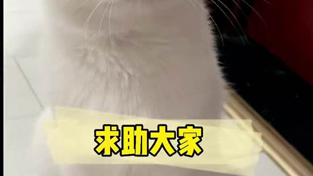 所以这到底是什么意思？