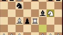 #国际象棋 #每天学习一点点 意大利开局实战精彩杀局！