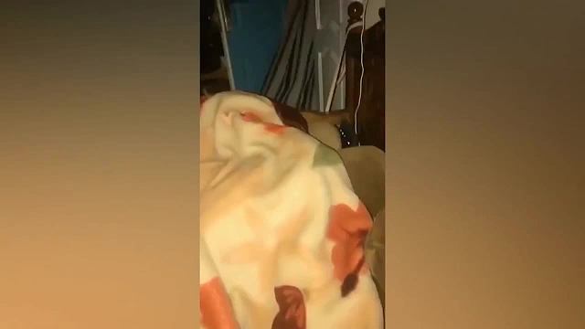 萌宠搞笑诱惑测试