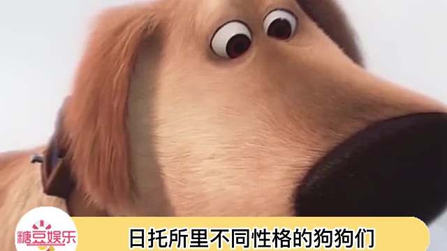 求关注的修狗给我摸摸！内向的小狗也给我摸摸！总之都给我摸！