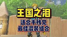 这种混装适合日常跑图适合手残党去穿！#王国之泪 #塞尔达传说王国之泪 #塞尔达传说 #游戏攻略