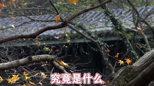 我发布了一个新视频，快来围观吧！