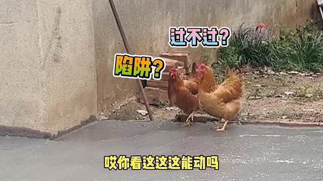 留下了作案指纹，老二不保啊！