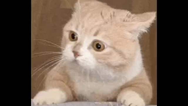 每个成功男人的背后都有一个过命的女人！