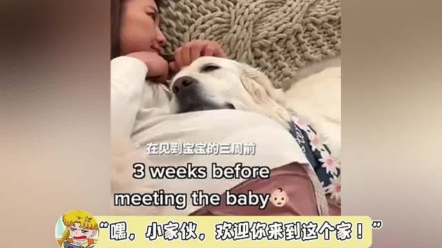 好羡慕一出生就有狗狗陪伴的小孩，是真的把狗狗当家人了吧