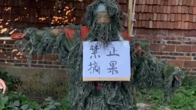 是谁在打我？给我站出来