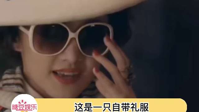 好贵气的鸽子呀！