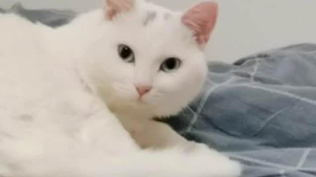 孩子好心办了坏事