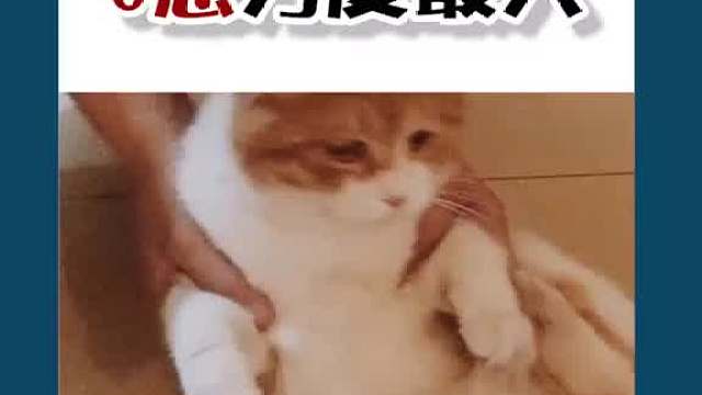 如果是你，你会选择吗？