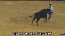 极限逗牛挑战，主办方不讲武德，竟然放进来一群牛。 #逗牛挑战 #斗牛 #老外真会玩 #奇葩挑战