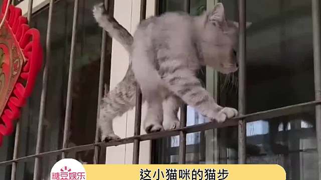 这就是走猫步吗
