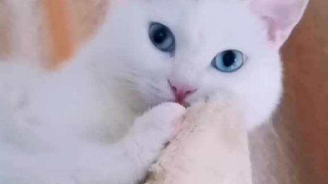 看完这个视频，他就会变身霸道总裁专宠你哦。