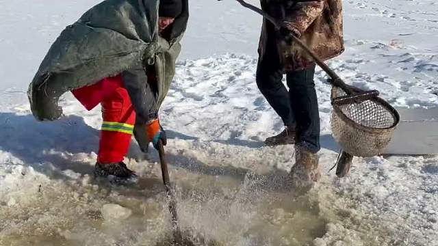 哥俩这样捕鱼真过瘾。