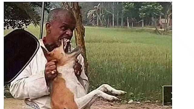 《满级小学生参赛》