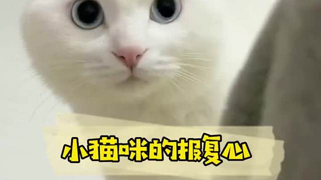 完了完了我感觉他俩将有大事发生