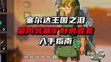 因为怕痛就全点防御力了，旷野勇者套装入手指南 #塞尔达传说王国之泪 #塞尔达王国之泪 #攻略