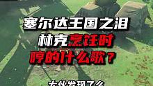 令人赞叹，林克做饭时哼的都是那些歌？《塞尔达王国之泪》 #塞尔达传说王国之泪 #攻略 #彩蛋 #细节