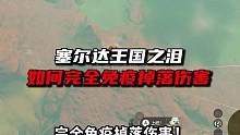 完全免疫掉落伤害！滑翔套入手指南《塞尔达王国之泪》 #攻略 #塞尔达传说王国之泪