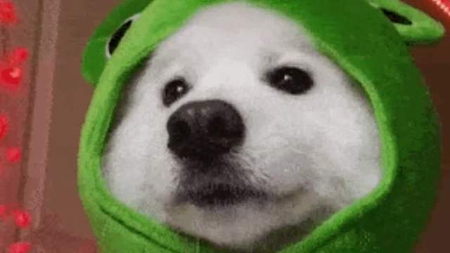 让你幸福的活到60岁，然后被外星人吃掉，你愿意吗？