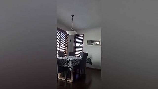 一只喜欢叼走捡屎官的东西的萌宠