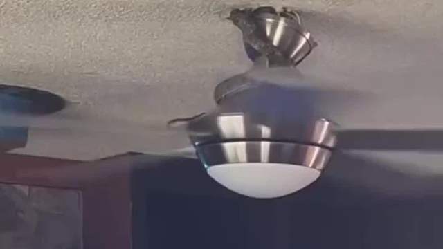 前一秒我还在笑蛇，最后一下差点给我整窒息了